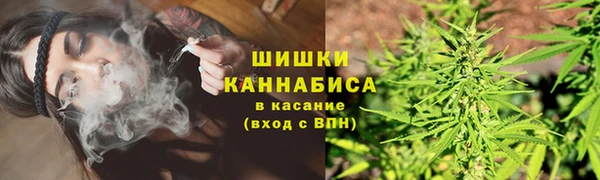 MESCALINE Новодвинск