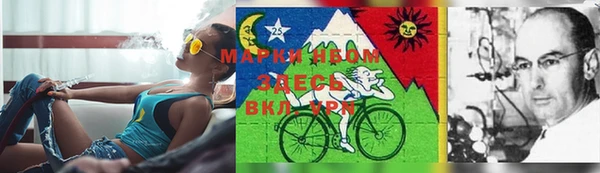 MESCALINE Новодвинск