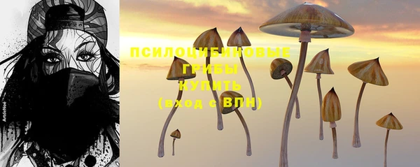 МДМА Няндома
